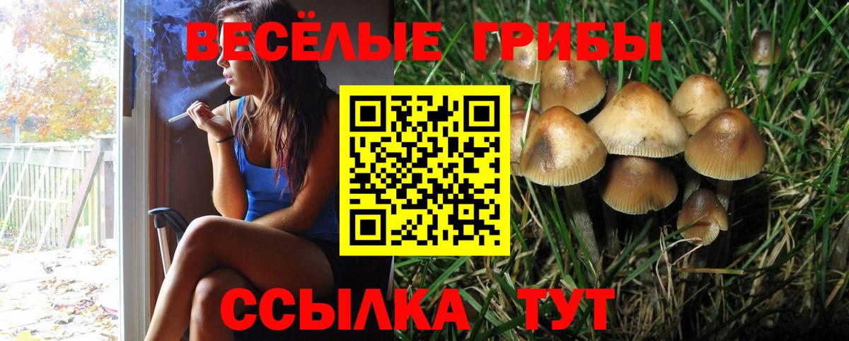 Псилоцибиновые грибы GOLDEN TEACHER Дубна
