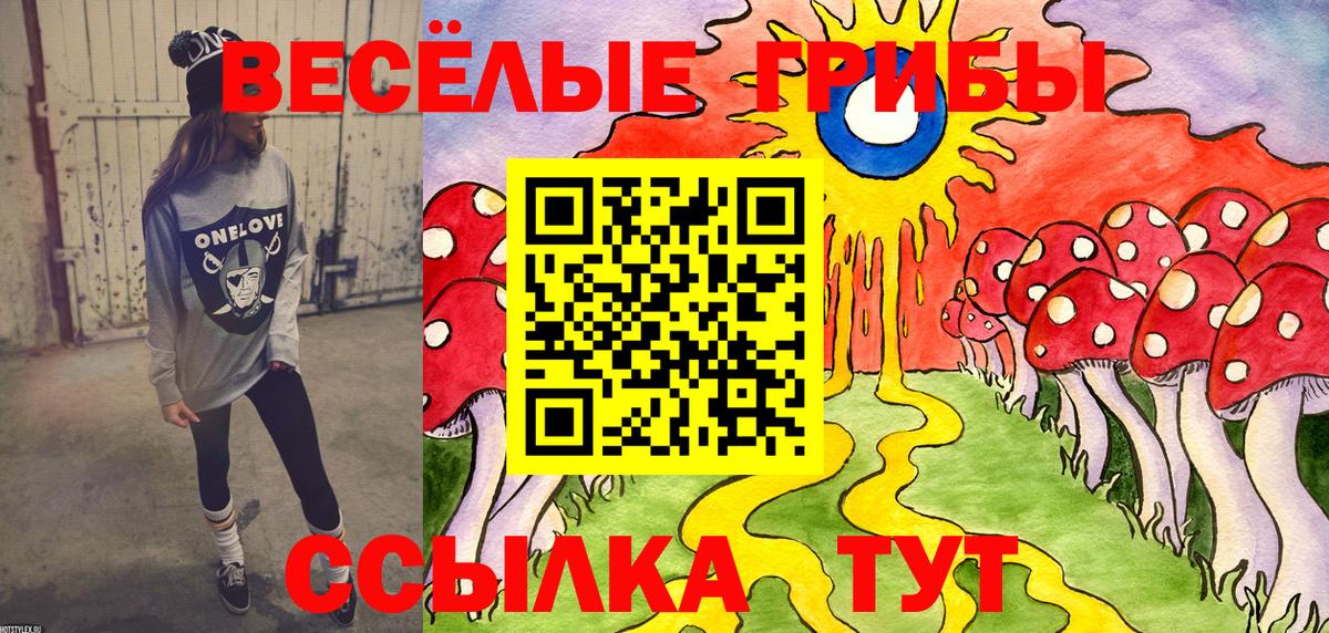 Псилоцибиновые грибы мицелий  Вход с VPN  Дубна  Псилоцибиновые грибы прущие грибы 